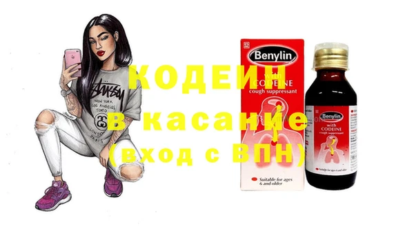 крисы Алексин