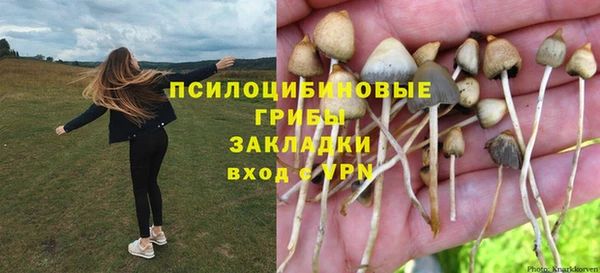 крисы Алексин
