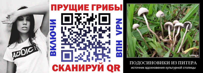 Псилоцибиновые грибы MAGIC MUSHROOMS  Абинск 